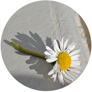 snoezelen-44-49-activite-eveil-sensoriel-dans-tous-les-sens-snoezelen-ateliers-enfants-adultes-ancenis-maine-et-loire-loire-atlantique